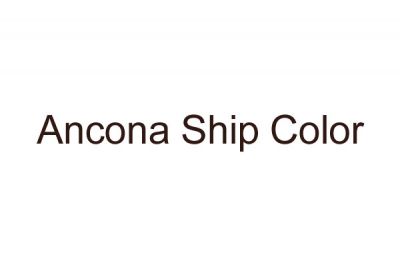 ANCONA SHIP COLOR SRL